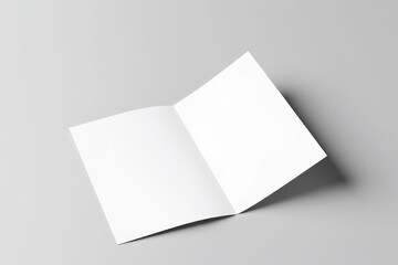 Blank Brochure Mockup Open Book Template Design Presentation Layout