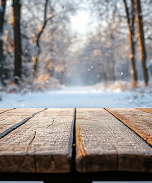 wooden bridge in winter forest