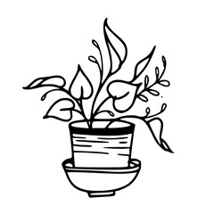 home decor plant in ceramic pot clipart