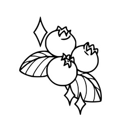 shining blueberries with leaves line art