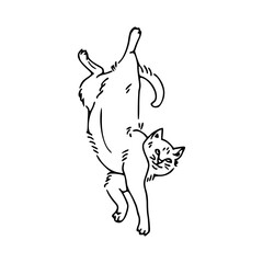 abstract line art of a playful cat
