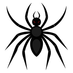 spider on a white background