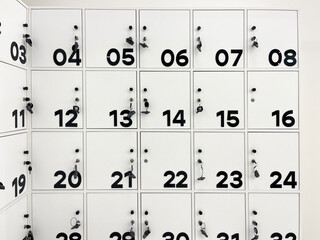Rows of crisp, white lockers with bold black numbers and keys, offering secure personal storage in...
