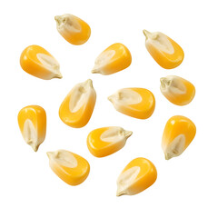 Flying corn kernels, cut out. isolated on white or transparent background. PNG