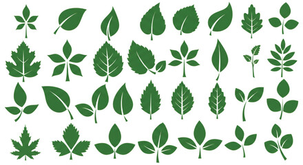 Leaf icons set ecology nature element, green leafs, environment and nature eco sign. Leaves on white background – for stock