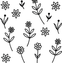 Obraz premium Simple Black and White Floral Illustrations Line Art Flowers and Leaves Design Elements