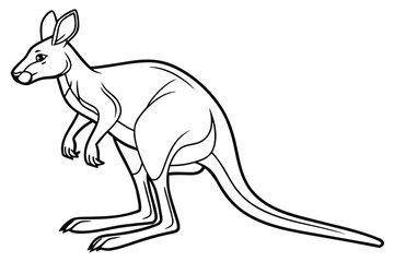 coloring page line art the kangaroo black vector