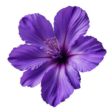 flor morada
