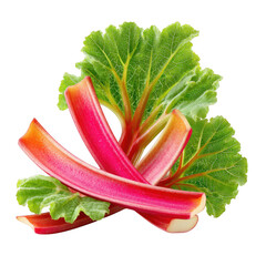Fresh red rhubarb stalks and green leaves isolated on transparent background