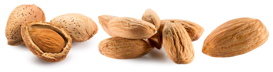 collection of almonds isolated on a white background