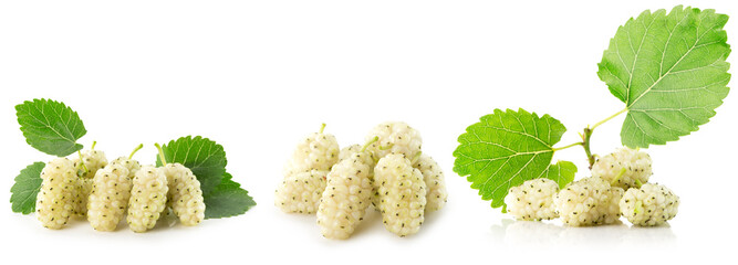 collection of white mulberries isolated on a white background