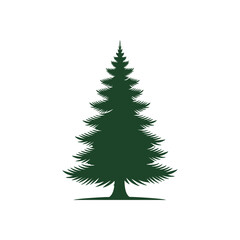 Silhouette of an Evergreen Pine Tree