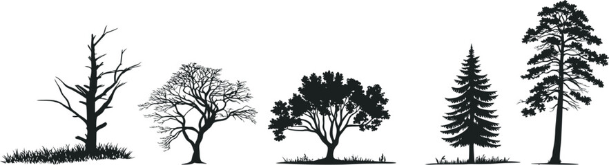 "Silhouettes of Diverse Trees: Bare, Leafy, Deciduous, Evergreen, Pine - Isolated Black Tree Shapes Set for Nature, Forest, and Woodland Design Elements"