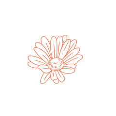 Original illustration of daisy flowers, minimalist ink line drawing