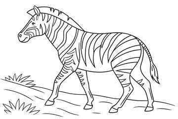coloring page line art the zebra black vector