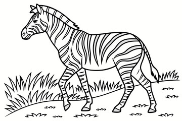 coloring page line art the zebra black vector