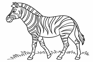 coloring page line art the zebra black vector