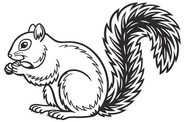 coloring page line art the squirrel black vector