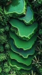 Stunning rice terraces exhibit vibrant green layers in a lush tropical landscape under bright sunlight