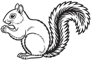 coloring page line art the squirrel black vector