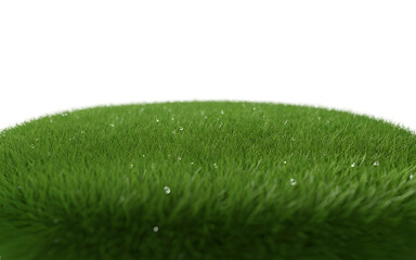 Lush Green Grass Patch High-Resolution Texture Image