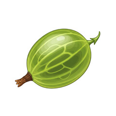 Green Gooseberry Vector Illustration on White Background