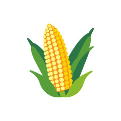 Obraz premium Corn Cob Image-Healthy Food-Farming-Agriculture-Fresh Produce-Corn Kernels-Organic Corn-Edible Grain-Corn Crop-Corn Plant-Corn Field
