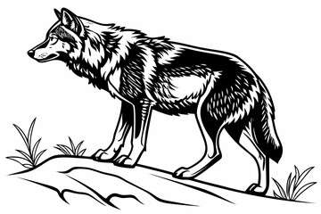 Fototapeta premium coloring page line art the wolf black vector