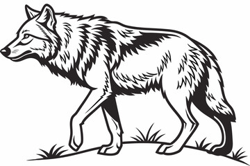 coloring page line art the wolf black vector