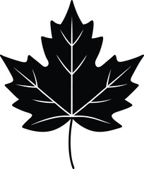 Simple Black Silhouette of a Maple Leaf Nature Illustration