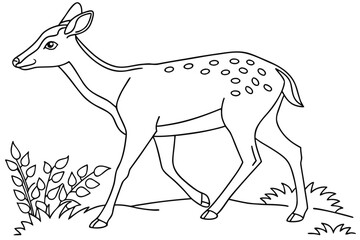 coloring page line art the deer black vector