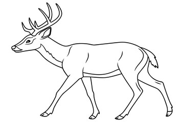 coloring page line art the deer black vector