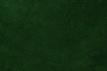 Beautiful green background with leather texture