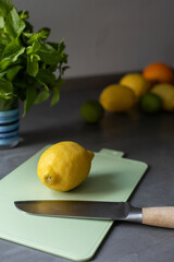 lemon and mint on the table ready for the limonade. summer drinks products