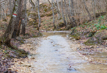 A shallow riverbed with an exposed rocky bottom , a small stream and a stream of water, the spring...