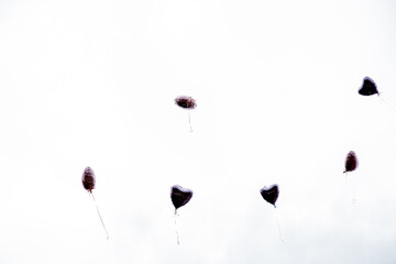 Heart-Shaped Balloons Rising into the Sky