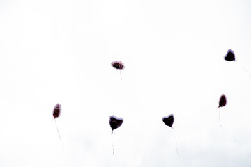 Heart-Shaped Balloons Rising into the Sky