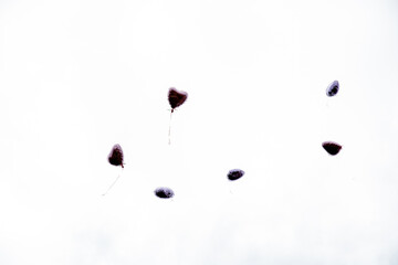 Heart-Shaped Balloons Rising into the Sky