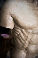 Anatomy of men, body 