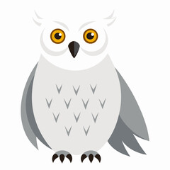 snowy owl on white background