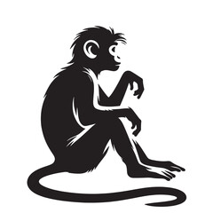 Fototapeta premium Monkey Svg