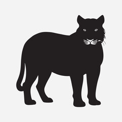 silhouette tiger on the white background   