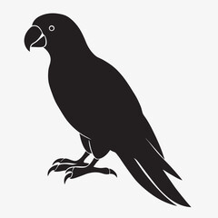 Fototapeta premium silhouette parrot on the white background 