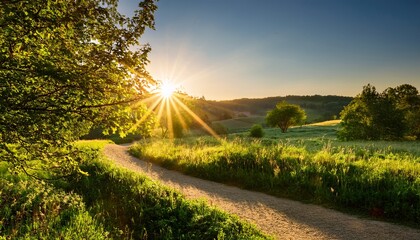 golden hour sunlight streams through lush green leaves illuminating a sun drenched path winding through a vibrant summer landscape perfect for travel nature and summer themes rays shadow