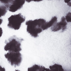 Modern Leopard Patterns. Abstract Animal Print.