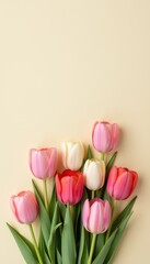 Colorful Tulips Arrangement on Soft Beige Background for Spring Decor