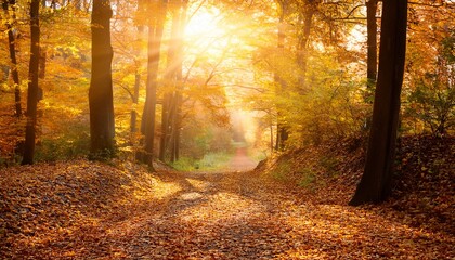 Obraz premium enchanting autumnal forest pathway bathed in golden light and falling leaves