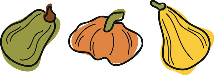 set of cute simple icons of various pumpkins of different shapes and colors, for autumn holidays, advertising and seasonal packaging
