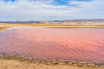 View of the pink salt lagoon set against the desert dunes in Paracas National Reserve, Peru.