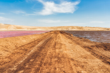 Dirt road along the pink salt lagoon in Paracas National Reserve, Peru
